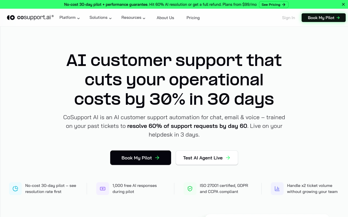 Screenshot of CoSupport AI