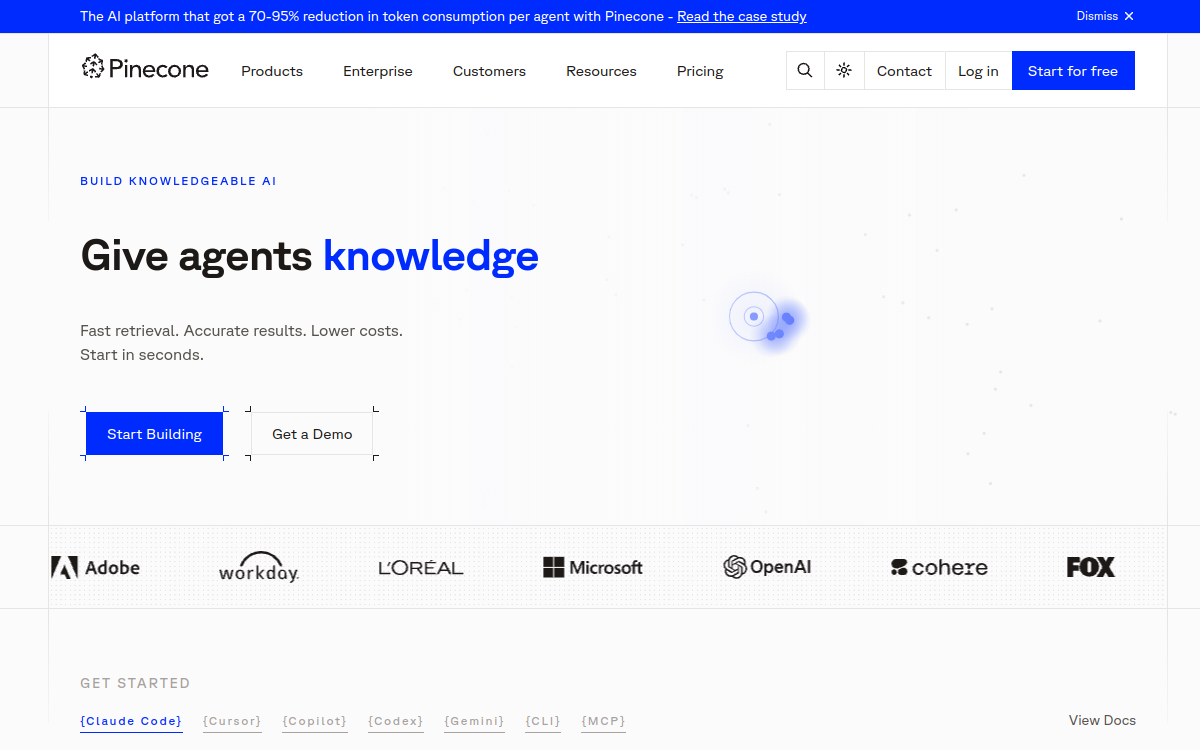 Screenshot of Pinecone