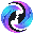 VideoSwap