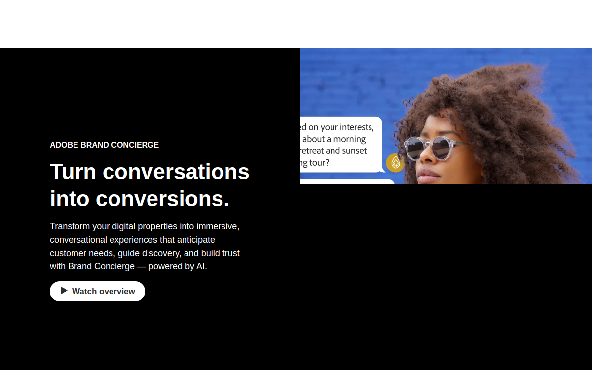 Screenshot of Adobe Brand Concierge