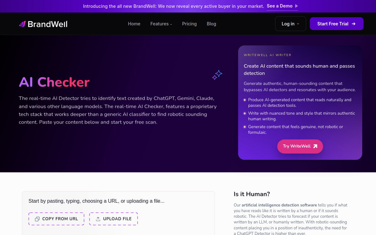 Screenshot of Content at Scale AI Detector