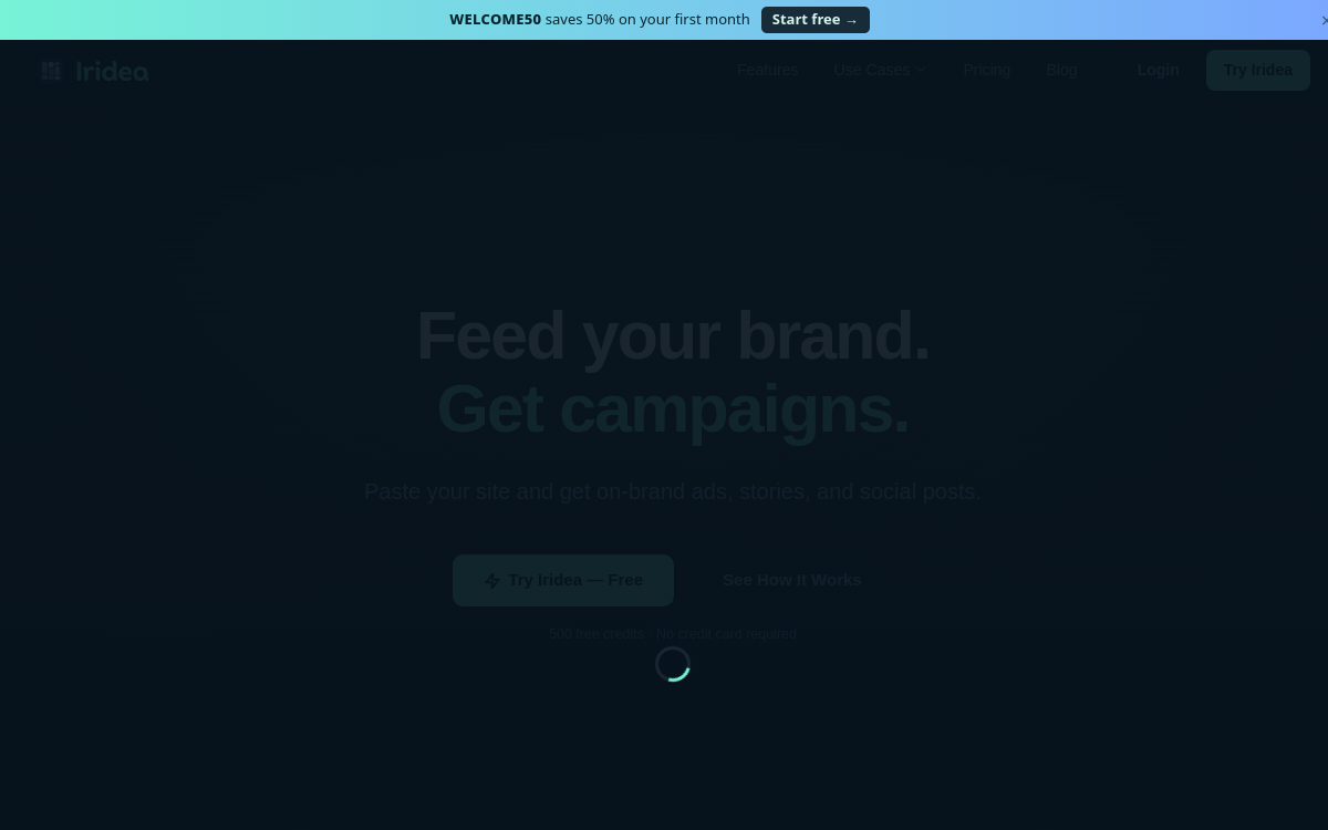 Screenshot of iRidea AI