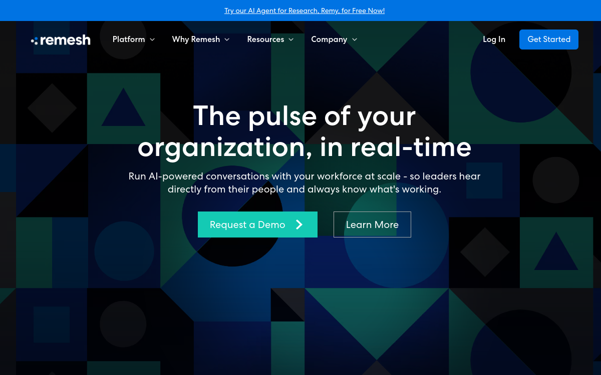 Screenshot of Remesh